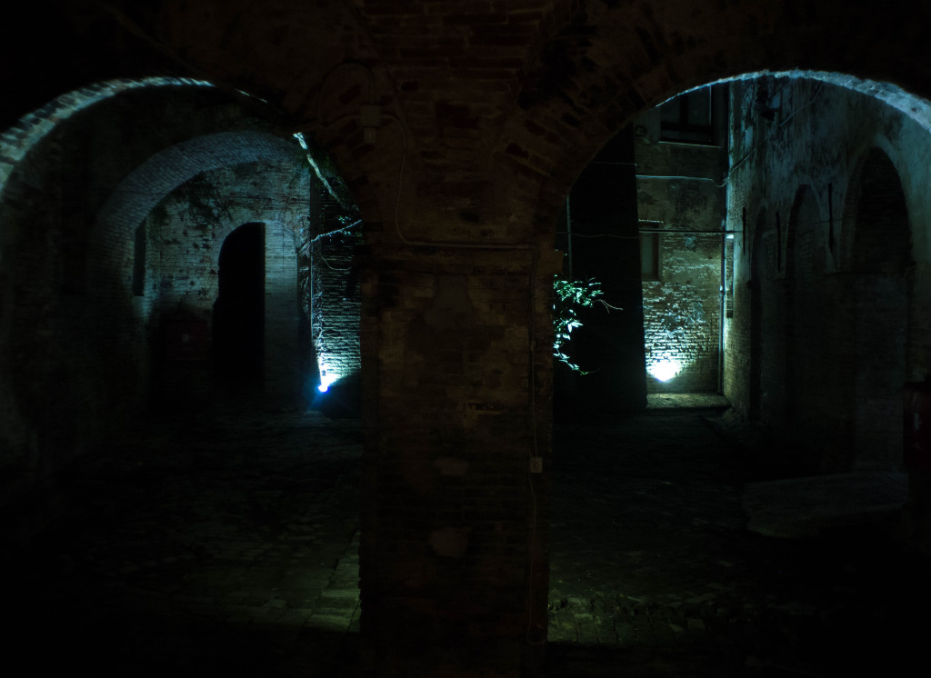 lux 01 – James Elaine & William Basinski | video exhibition _ museolaboratorio