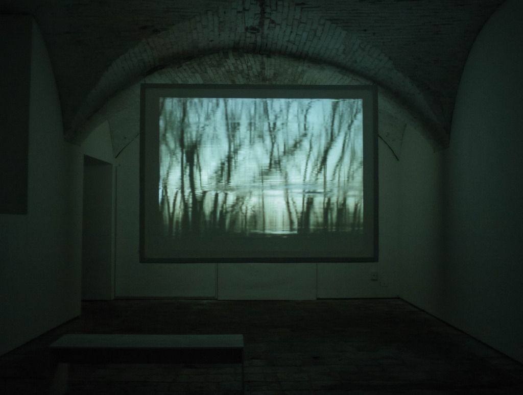 lux 01 – James Elaine & William Basinski | video exhibition _ Looking Glass