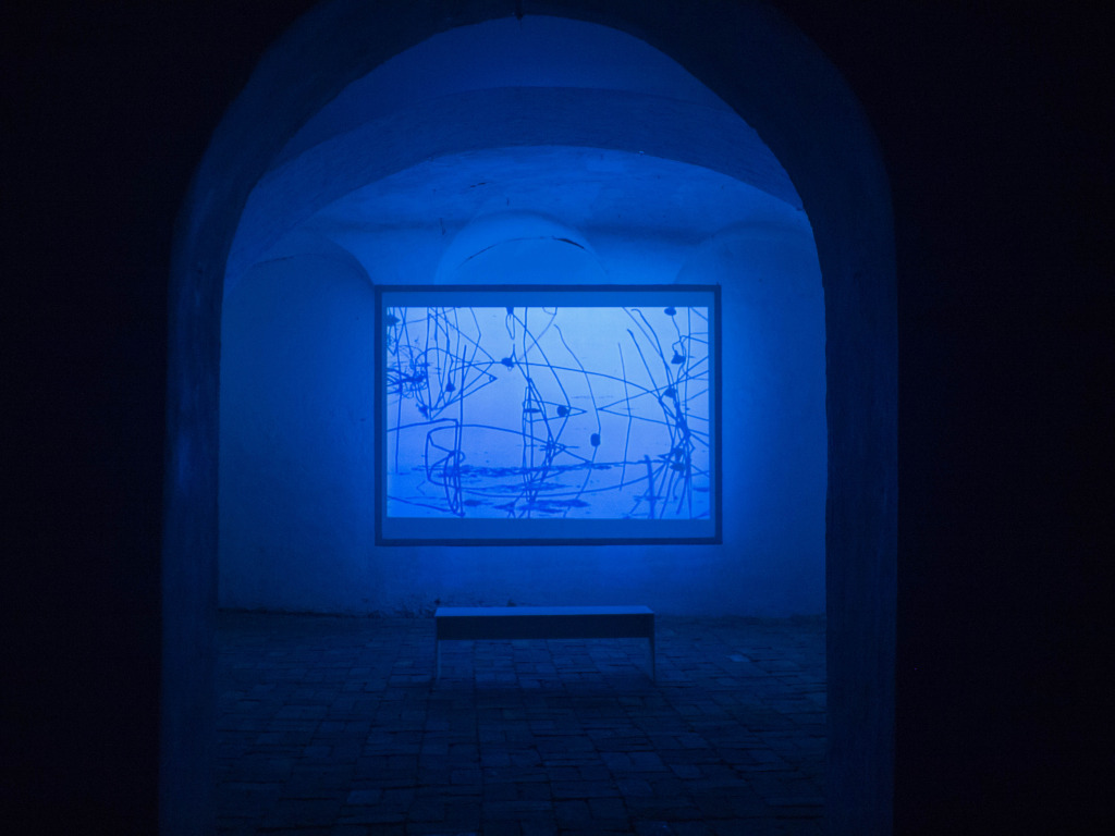 lux 01 – James Elaine & William Basinski | video exhibition _ Blueprints on a winter pond